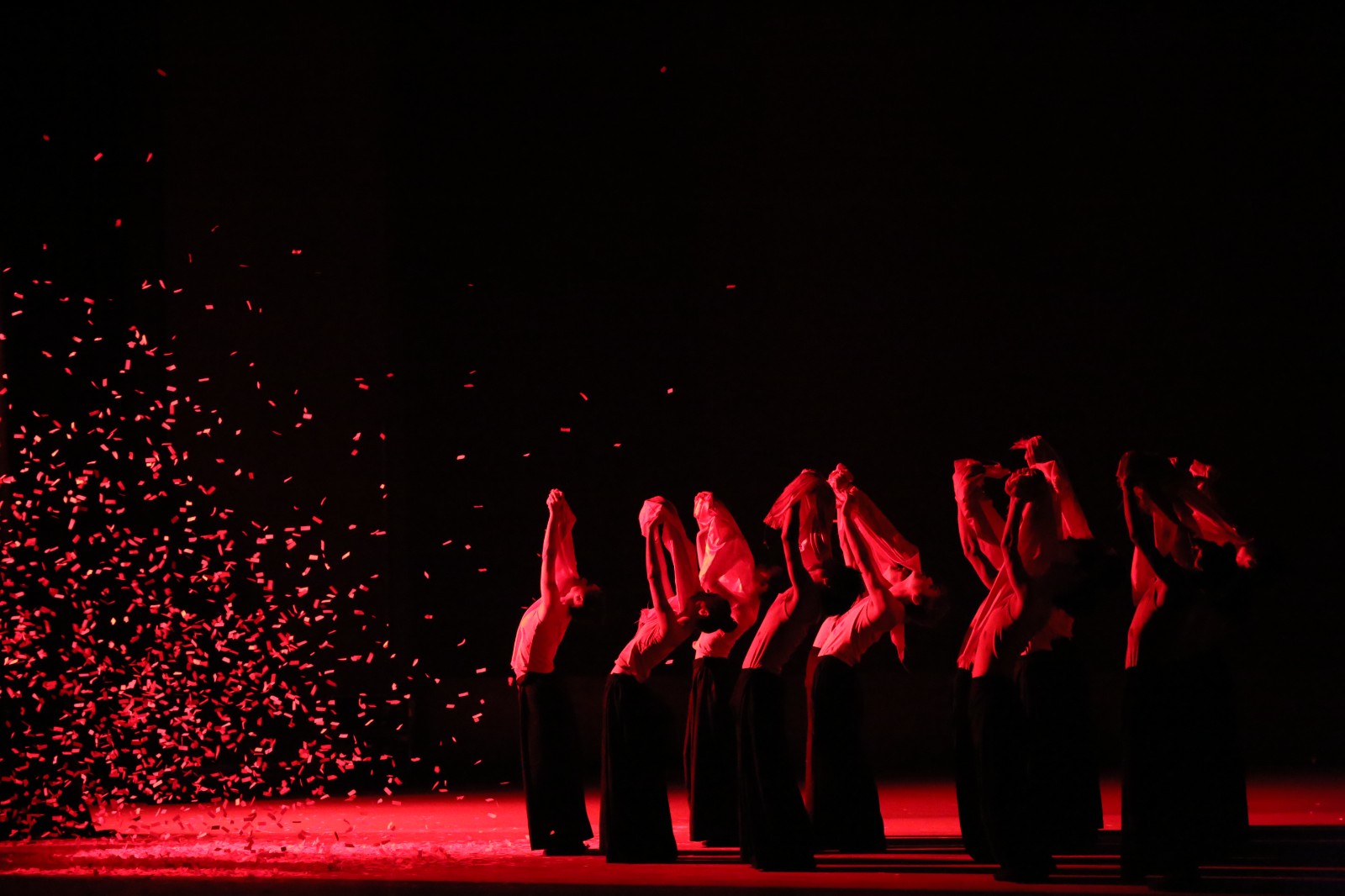 图2.光明行1.jpg